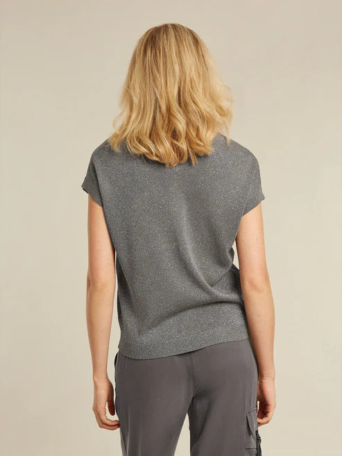 Dion Grey Knit Top With Shimmer