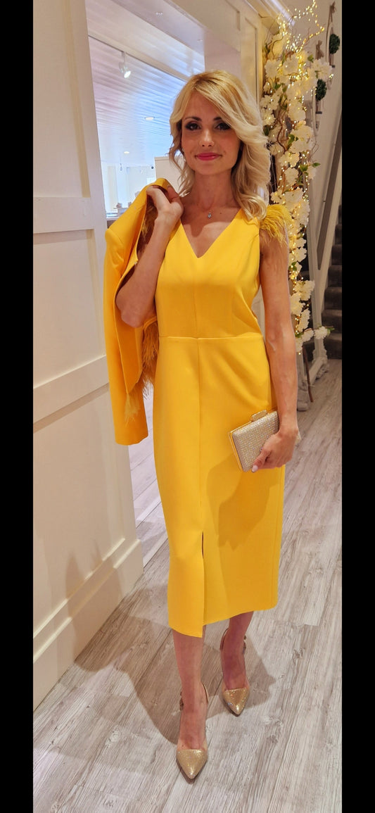 Yellow Feather Dress