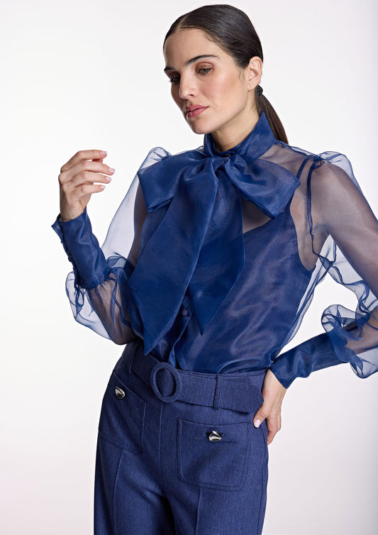 Blue Sheer Blouse
