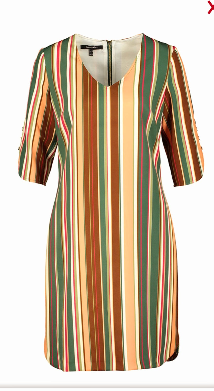Multi -Colour Stripe Dress