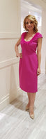 Cerise Dress With Feather Detail