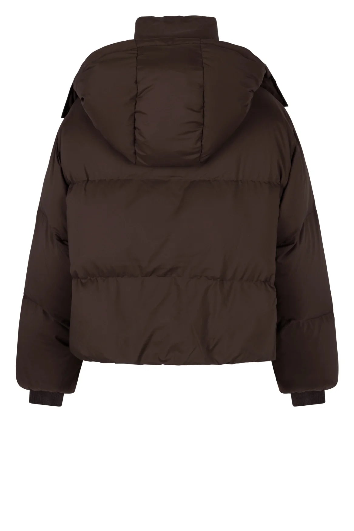 Espresso Bomber Jacket