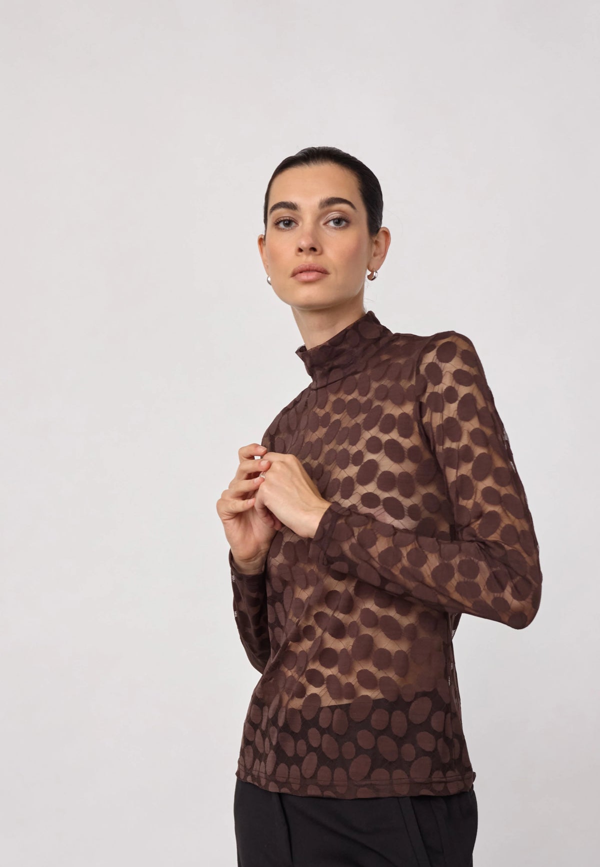 Penola Brown Pola Dot Sheer Top