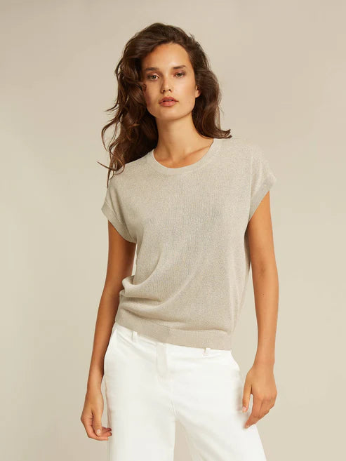 Dion Champagne Knit Top With Shimmer