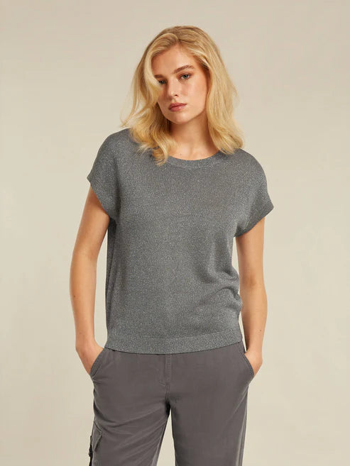 Dion Grey Knit Top With Shimmer