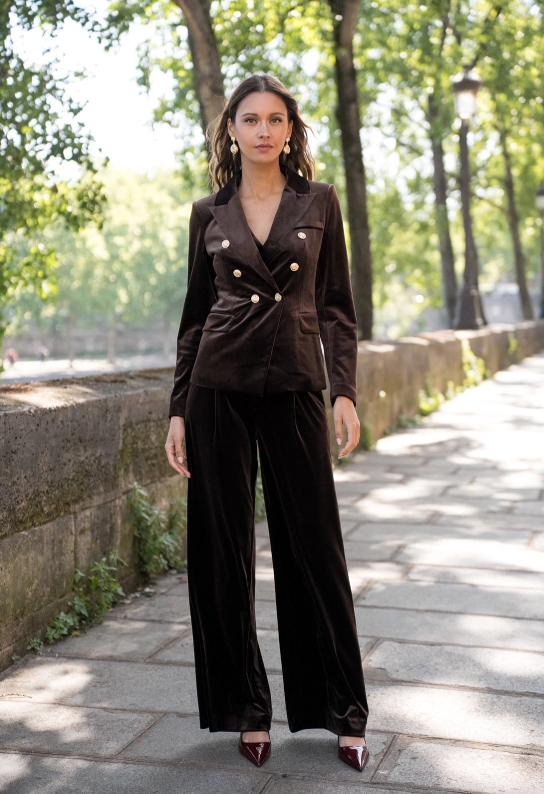 Brown Velvet Jacket With Gold Buttons