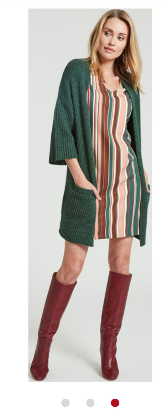 Multi -Colour Stripe Dress