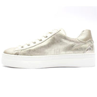 Amelia Champagne Runners